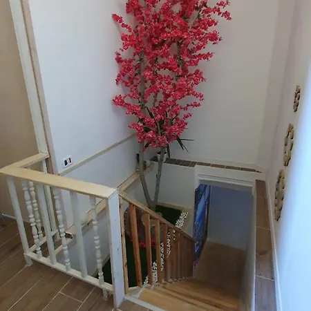 Apart-hotel Tiny Apt Vlorë